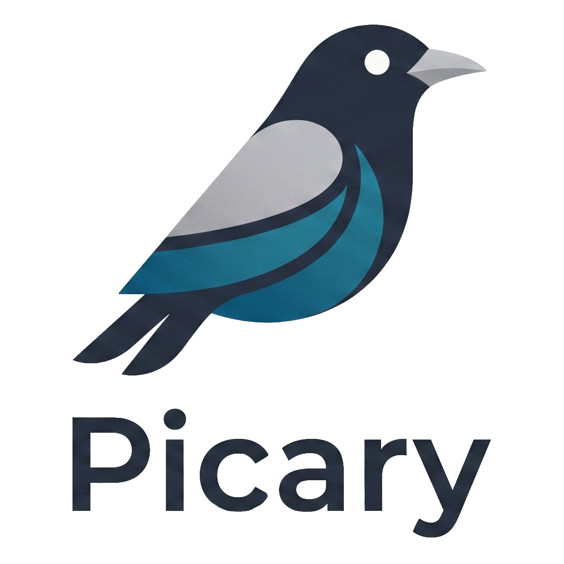 Picary.io